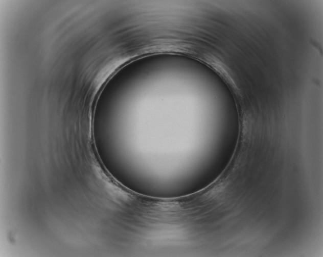 X0000103490844200809191920