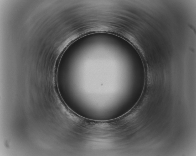 X0000103490845200809191920