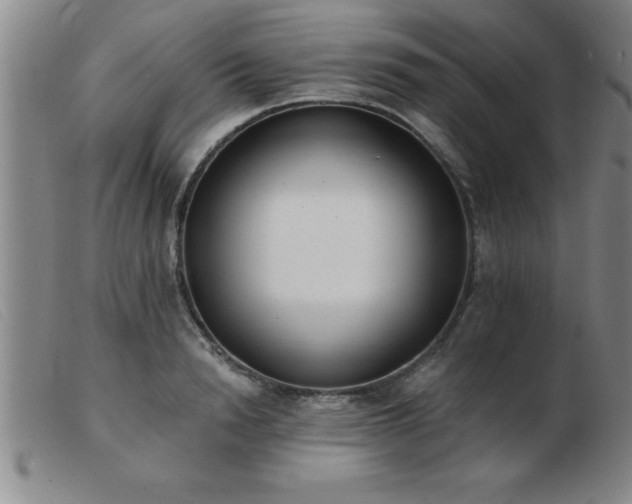 X0000103490846200809191920