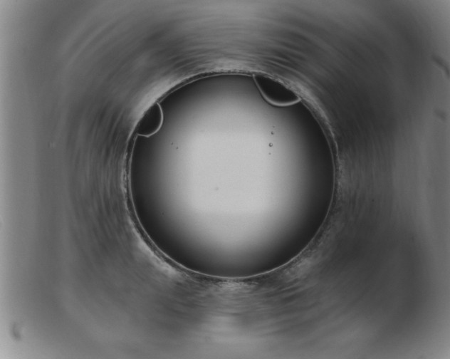 X0000103490847200809191920