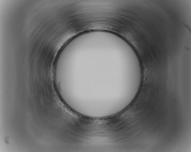 X0000103490848200809191920