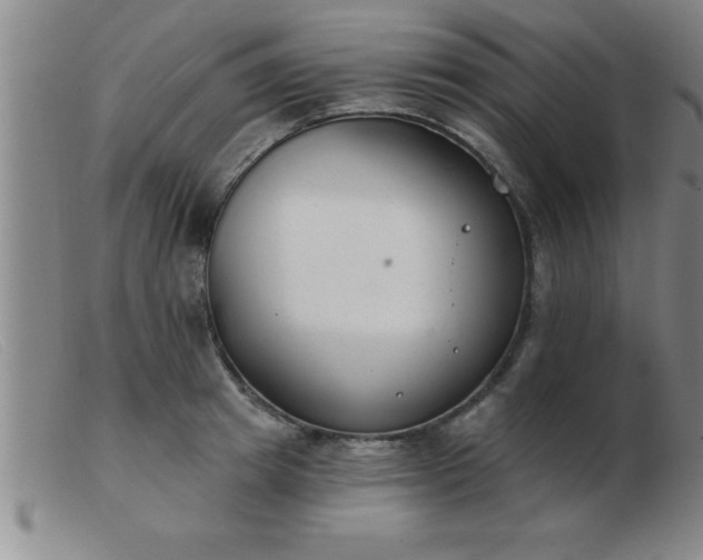 X0000103490849200809191920