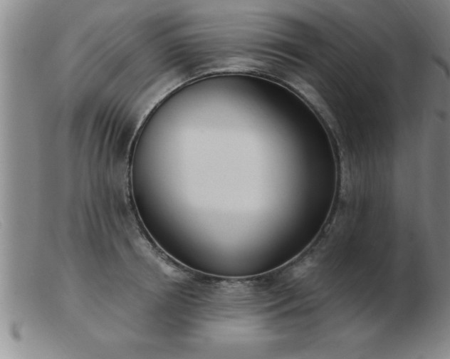 X0000103490850200809191920