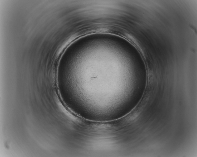 X0000103490851200809191920