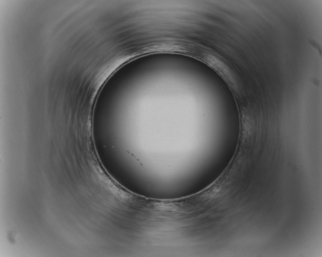 X0000103490852200809191920