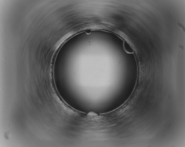 X0000103490853200809191921