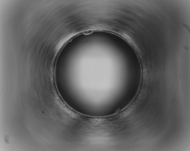 X0000103490854200809191921