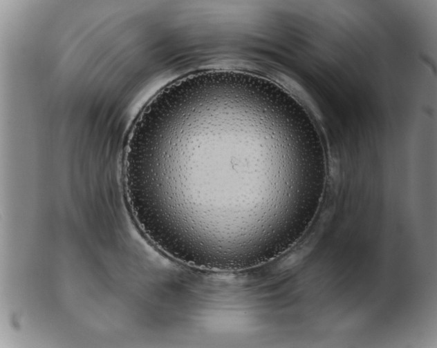 X0000103490855200809191921