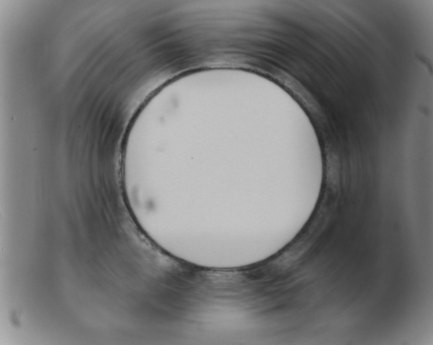 X0000103490856200809191921