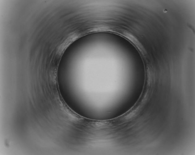 X0000103490857200809191921