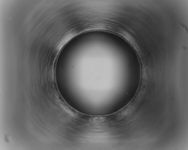 X0000103490858200809191921