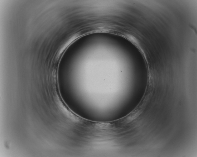 X0000103490859200809191921