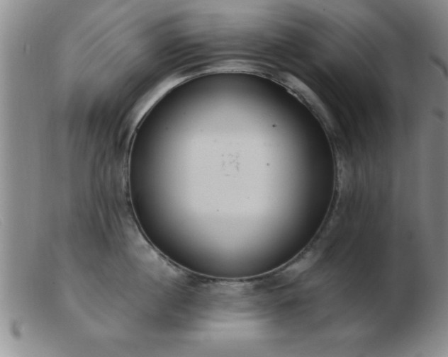 X0000103490860200809191921