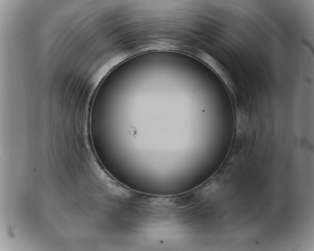 X0000103490861200809191921