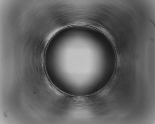 X0000103490862200809191921