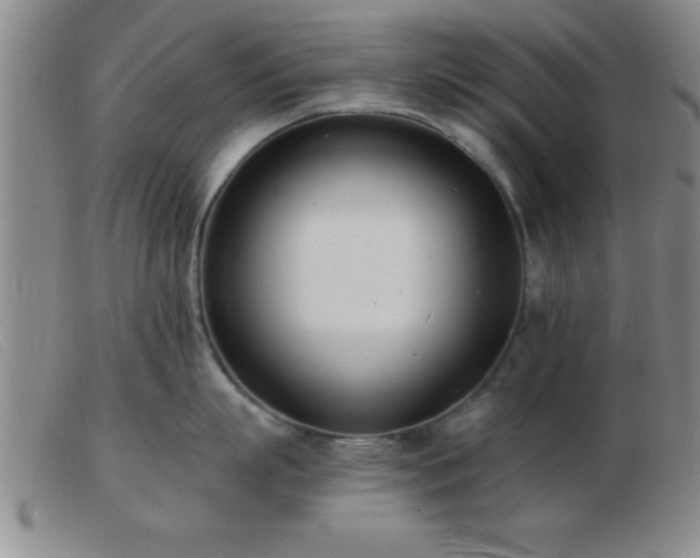 X0000103490863200809191921