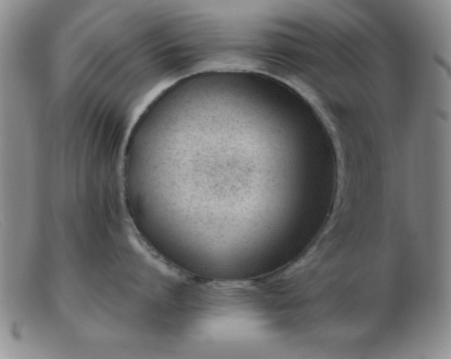 X0000103490864200809191921