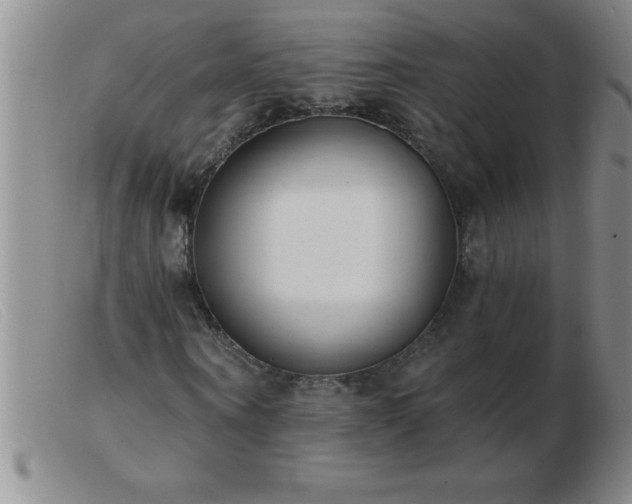 X0000103490866200809191920