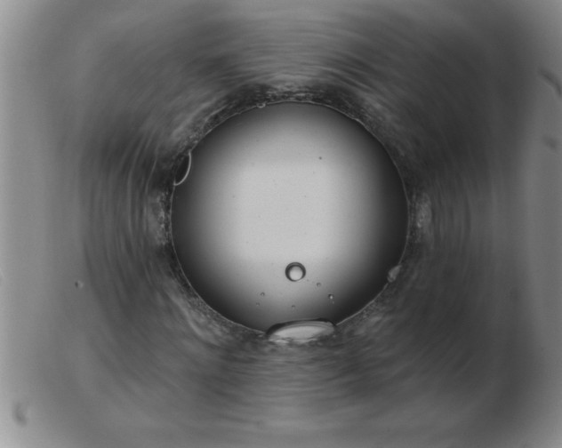 X0000103490868200809191920