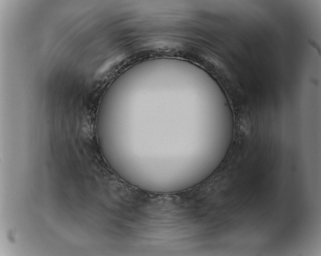 X0000103490869200809191920