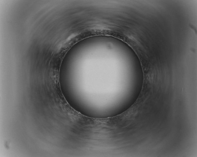 X0000103490870200809191920