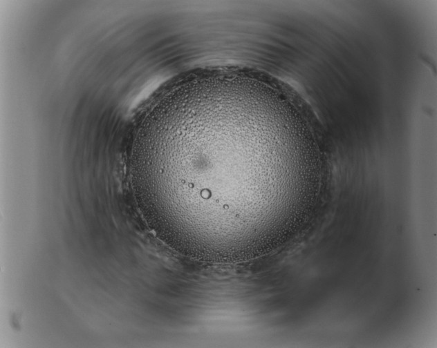 X0000103490871200809191920