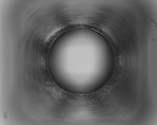 X0000103490872200809191920