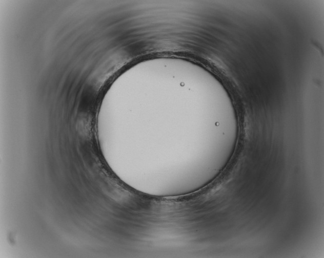 X0000103490873200809191920