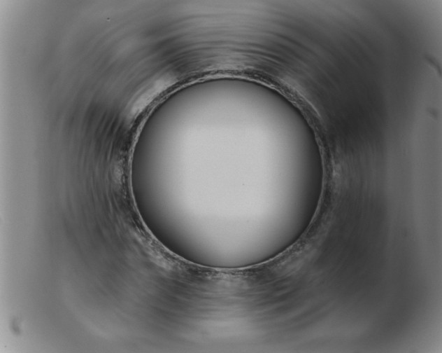 X0000103490874200809191920