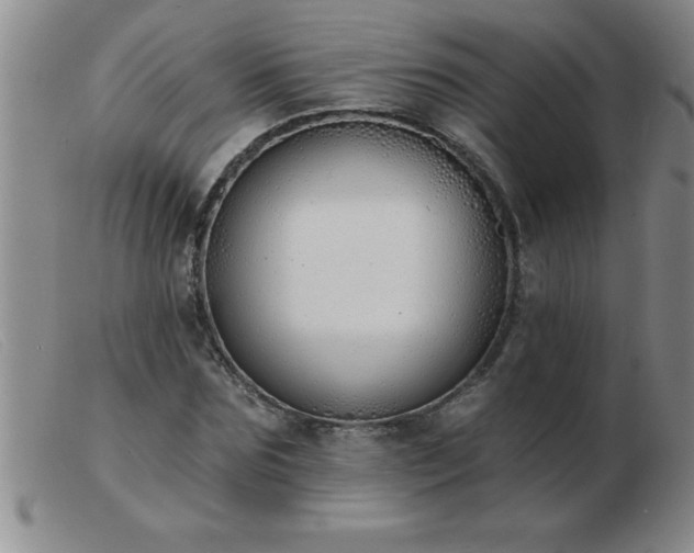 X0000103490875200809191920