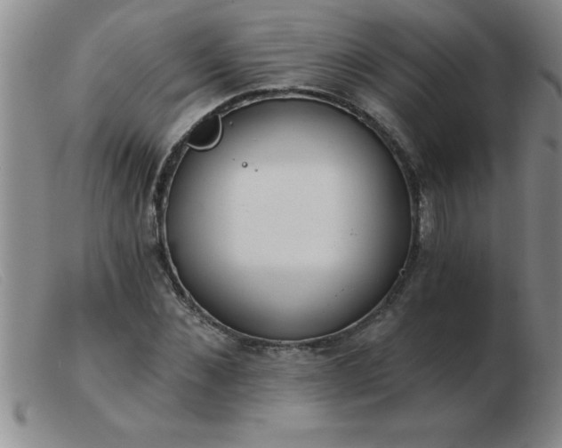 X0000103490876200809191920