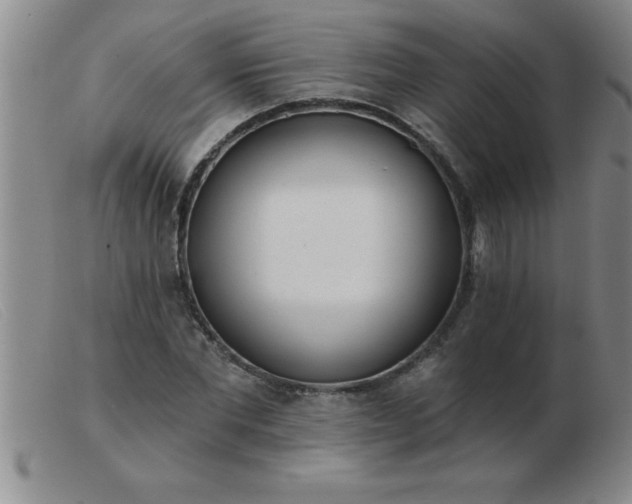 X0000103490877200809191920