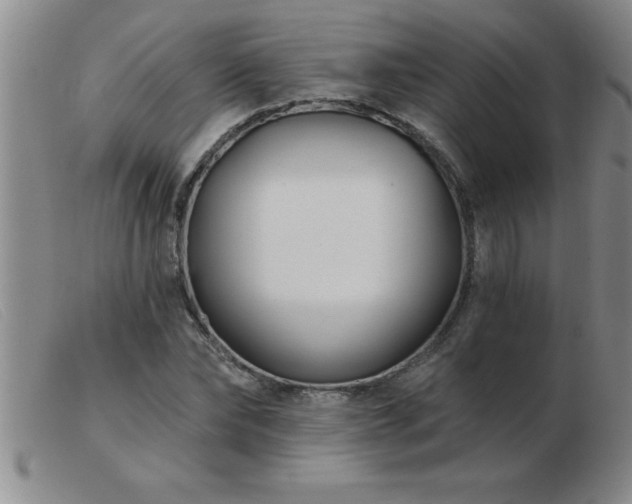 X0000103490878200809191920