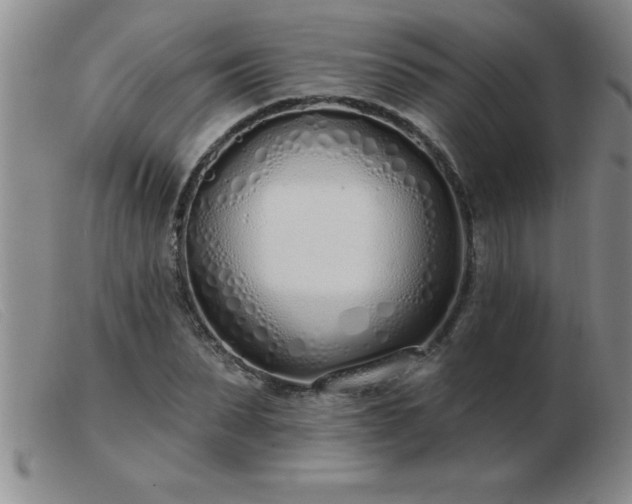 X0000103490879200809191920