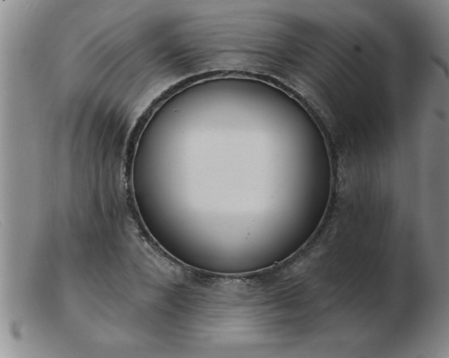 X0000103490880200809191920