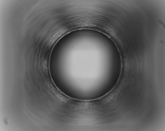 X0000103490881200809191920