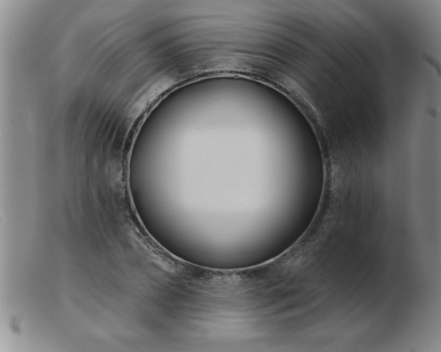 X0000103490882200809191920