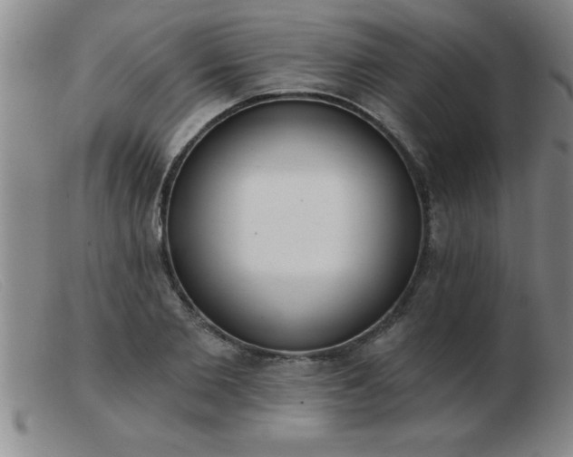 X0000103490885200809191920