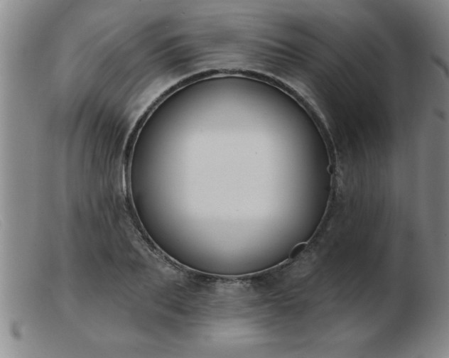 X0000103490887200809191920