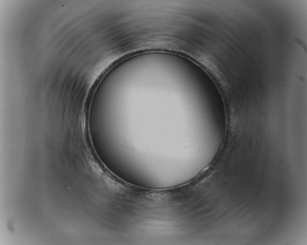 X0000103490888200809191920