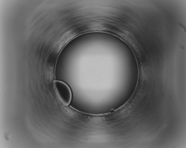 X0000103490889200809191919