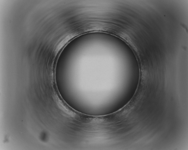 X0000103490890200809191919