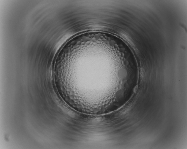 X0000103490891200809191919