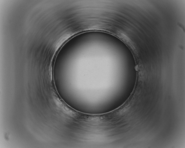 X0000103490892200809191919