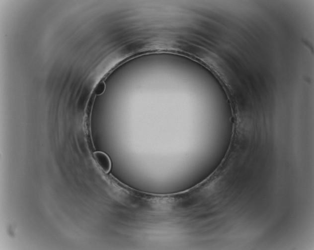 X0000103490893200809191919