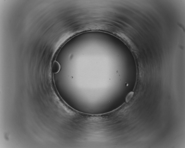 X0000103490894200809191919