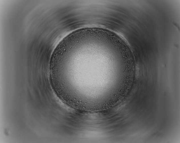 X0000103490895200809191919