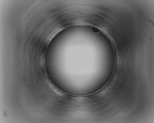 X0000103490897200809191919