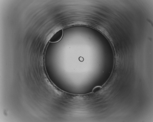 X0000103490898200809191919