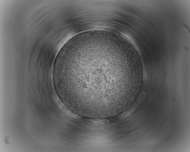 X0000103490899200809191919